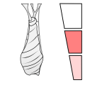 Thumbnail for version as of 17:15, 18 February 2024