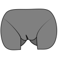 Thumbnail for version as of 17:15, 18 February 2024