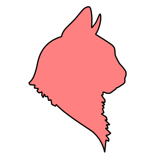 File:Example Race 2.png