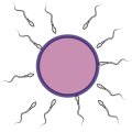 Thumbnail for version as of 17:13, 18 February 2024