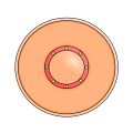 Thumbnail for version as of 17:21, 18 February 2024