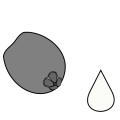 Thumbnail for version as of 17:12, 18 February 2024