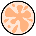 Thumbnail for version as of 17:13, 18 February 2024