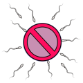 Thumbnail for version as of 17:05, 18 February 2024