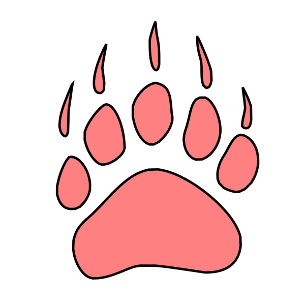 File:Example Race 1.png