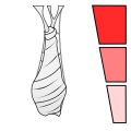 Thumbnail for version as of 17:15, 18 February 2024