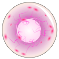 Thumbnail for version as of 17:21, 18 February 2024