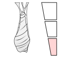 Thumbnail for version as of 17:15, 18 February 2024
