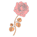 Thumbnail for version as of 17:17, 18 February 2024